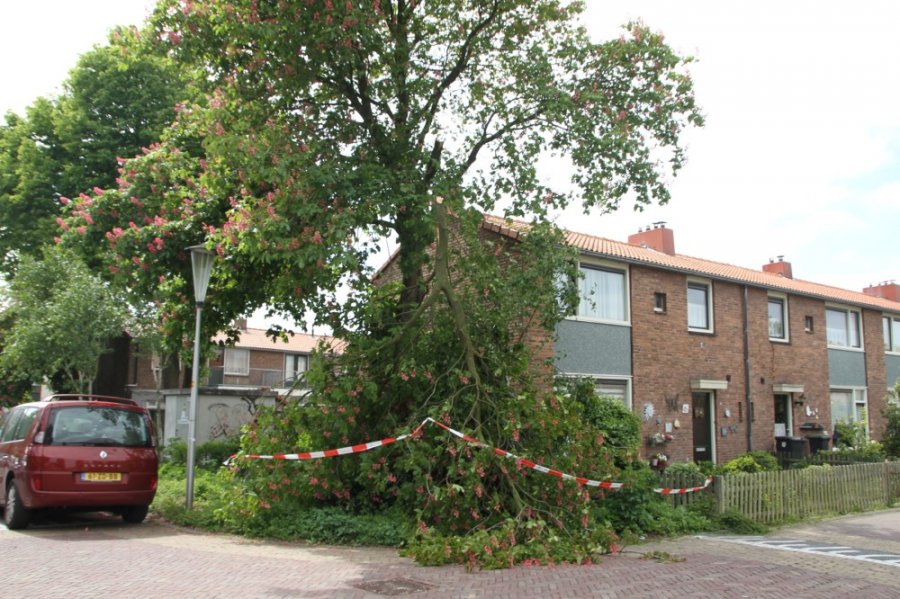 Tak van boom gewaaid Gouderegenstraat Noordwijk